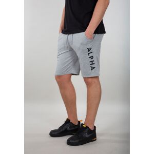 Alpha Industries Jersey Shorts L Grå