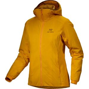 Arc'teryx Men's Atom Hoody Edziza S, Edziza