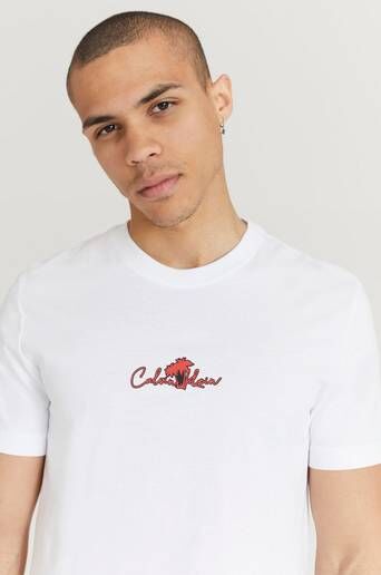 Calvin Klein T-Shirt Summer Center Logo T-Shirt Hvit  Male Hvit