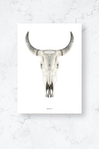 Malerifabrikken Poster / Cow Skull / 50x70 Plano Hvit  Male Hvit