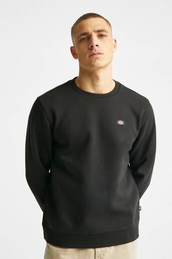 Dickies Sweatshirt Qakport Sweatshirt Svart  Male Svart