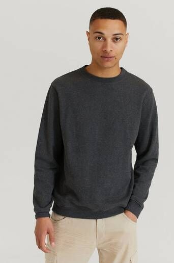 Studio Total Sweatshirt Andy Crew Sweater Grå  Male Grå