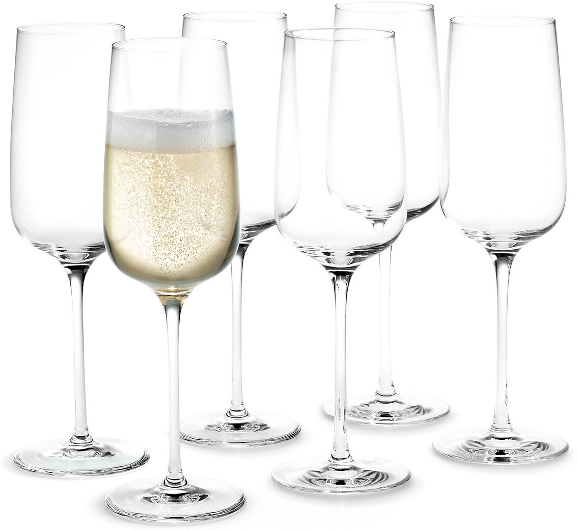 Holmegaard Bouquet Champagnlass 29 Cl 6 Stk. Home Tableware Glass Champagne Glass Nude Holmegaard