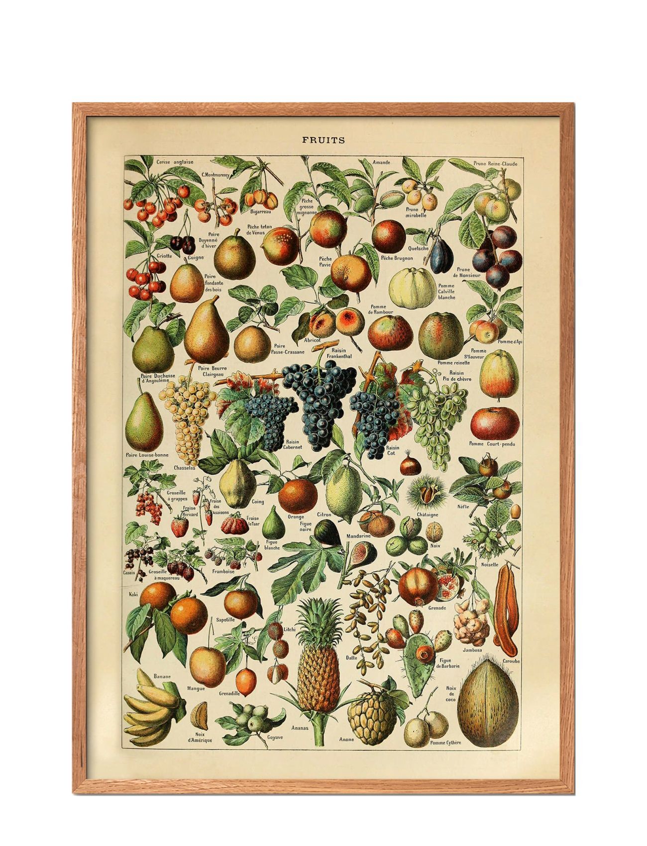 Poster & Frame Fruits Home Decoration Posters & Frames Posters Botanical Multi/mønstret Poster & Frame