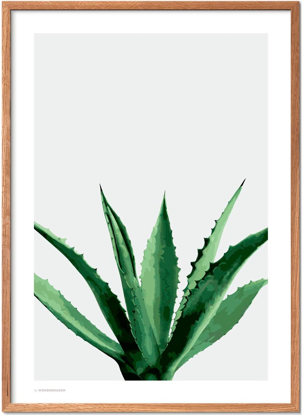 Poster & Frame Agave Home Decoration Posters & Frames Posters Botanical Multi/mønstret Poster & Frame