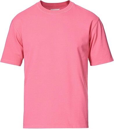 Drake's Cotton Crew Neck Hiking Tee Fuschia