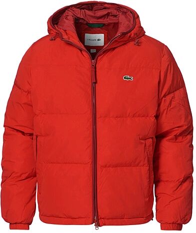 Lacoste Down Hooded Jacket Red