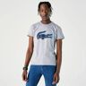 Lacoste Men's T-shirt SZARY SZARY Mężczyźni