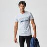 Lacoste męski T-shirt SZARY SZARY Mężczyźni