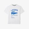 Lacoste męski T-shirt z logo krokodyla Relaxed Fit BIAŁY BIAŁY Mężczyźni