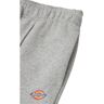 Dickies Calça Corredores Mapleton Cinzento M Mulher