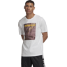 adidas Originals Adv tee 2xl Alb 2XL male