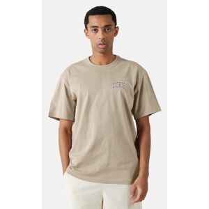 Dickies Aitkin t-shirt - Relaxed fit Male XS Beige