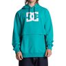 DC Shoes Bandwidth huvtröja herr