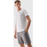 Men's 4F Sports Quick-Drying Shorts - Grey L male