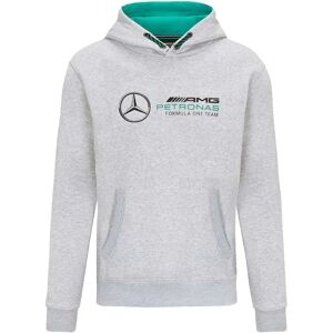 Puma 2022 Mercedes Logo Hooded Sweat (Grey) - Medium Adults Male