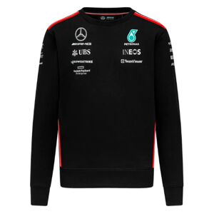 Puma 2023 Mercedes-AMG Team Sweatshirt (Black) - Large Adults Male