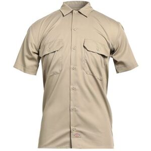 DICKIES Shirt Man - Sage Green - S,Xl,Xs