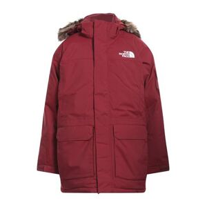 THE NORTH FACE Puffer Man - Burgundy - L,M,S,Xl,Xs,Xxl