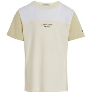 Calvin Klein Colour Block T Shirt