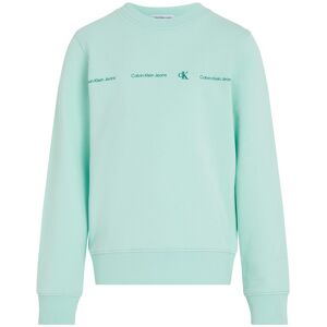 Calvin Klein Minimalistic Crew Sweatshirt