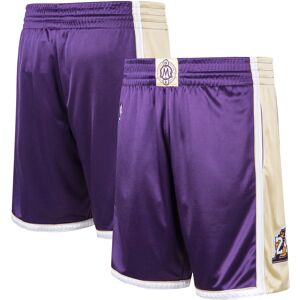 Men's Mitchell & Ness Kobe Bryant Purple Los Angeles Lakers Hall of Fame Class of 2020 Authentic Hardwood Classics Shorts - Male - Purple