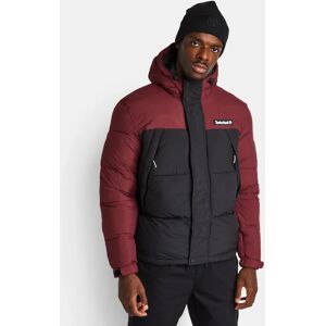 Timberland Dwr - Men Jackets  - Red - Size: Extra Large