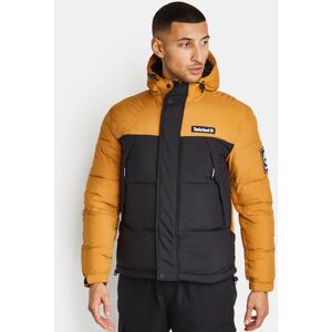 Timberland Dwr - Men Jackets  - Beige - Size: Small