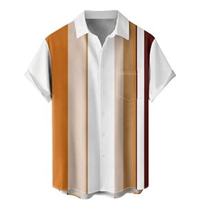Zsbayu Hawaiian Casual Printed Beach Shirt Funny Vintage 80s Shirts 50s Rockabilly Style Summer Tops Bowling Shirts for Men(Orange,3X-Large)