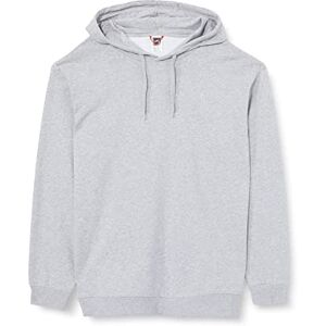 THE NORTH FACE Oversized Hooded Sweatshirt TNF Light Grey Heather XXL