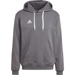 adidas Men's Ent22 Hoodie Hooded Sweatshirt, Tegrfo, XS UK