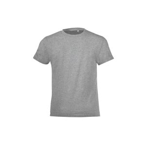 SOL'S Regent Short Sleeve Fitted T-Shirt