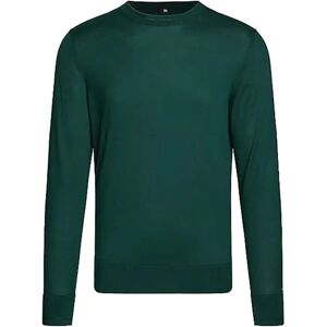 Tommy Hilfiger , DC Cotton Lyocell Crewneck ,Green male, Sizes: S, M, L, XL