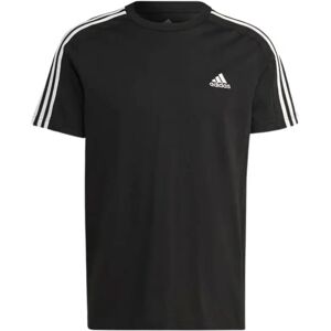 Adidas , Basic T-Shirt ,Black male, Sizes: L, M