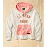 Adults' L.L.Bean x Todd Snyder Organic French Terry Hoodie, Graphic Sea Ice Medium, Cotton