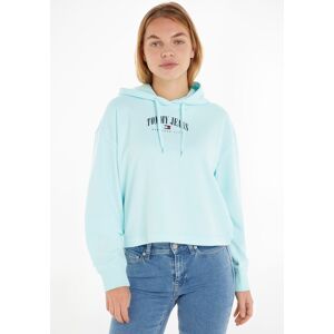 Tommy Jeans Kapuzensweatshirt »TJW RLX ESSENTIAL LOGO 2 HOODIE«, mit Tommy... Aqua-Coast Größe XL (42)