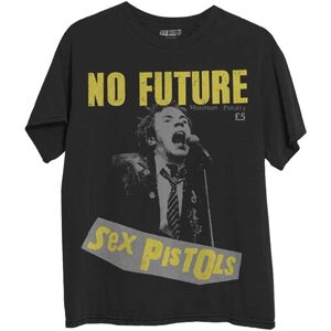 Sex Pistols - The The Sex Pistols Unisex T-Shirt: No Future (Medium)