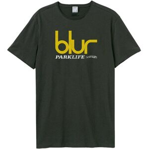 Blur Leisure Amplified Vintage Charcoal Large T Shirt