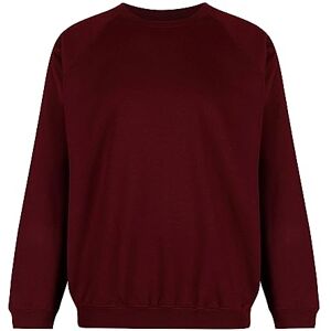 Trutex Unisex 260G Crew Neck Sweatshirt, Rot (Claret), 110 (Herstellergröße: 22-23