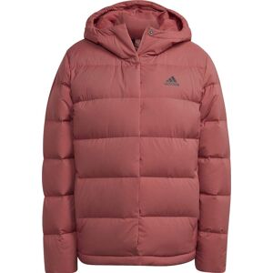 Adidas Women's Helionic Hooded Down Jacket Wonred S, Wonred