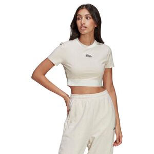 Adidas R.y.v. Cropped Tshirt Damer Tøj Hvid 40