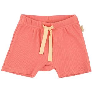 Petit Piao Shorts - Modal - Dark Peach - Petit Piao - 56 - Shorts