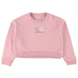 Klein Sweatshirt - Cropped - Hwk - Recycled - Broadway Pi - Calvin Klein - 8 År (128) - Sweatshirt