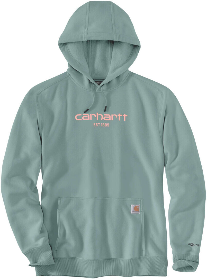 Carhartt Lightweight Logo Graphic Sudadera con capucha - Verde