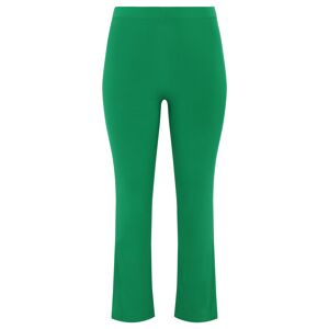 Basics (B) Tregging DOLCE green (240) 58/60 (58/60) Women