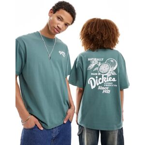 Dickies - Raven - T-shirt imprimÃ© au dos - Vert foncÃ© Vert M unisex - Publicité