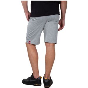 Alpha Industries Jersey Shorts Gris 2XL Homme Gris 2XL male - Publicité