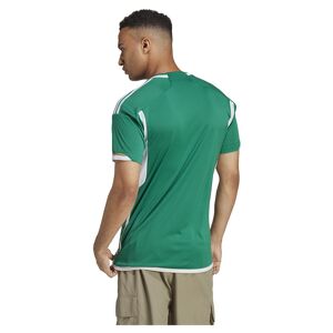 Adidas Argelia 23/24 Short Sleeve T-shirt Away Vert XS Vert XS unisex - Publicité