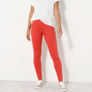 Blancheporte Legging uni, coton biologique - BlancheporteUn idéal de confort à adopter d'urgence ! Ce legging se révèlera vite indispensable pour s'activer ou pour se sentir vraiment bien. En coton bio certifié GOTS, il est aussi doux avec votre peau qu'a