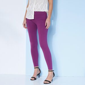 Legging taille élastiquée - 50 - Violet - B ActivPièce indispensable du dressing féminin : le legging ! Il sera le compagnon idéal de vos tuniques et se plaira aussi bien avec des ballerines ou des escarpins ! Confortable et mode à la fois, que demander d - Publicité